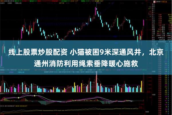 线上股票炒股配资 小猫被困9米深通风井，北京通州消防利用绳索垂降暖心施救